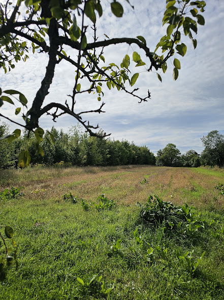 Dom na sprzedaż Lisie Pole 140 m2 | Arka Nieruchomości