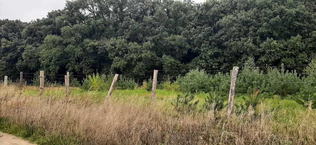 Działka na sprzedaż Swobnica 1 022 m2 | Arka Nieruchomości
