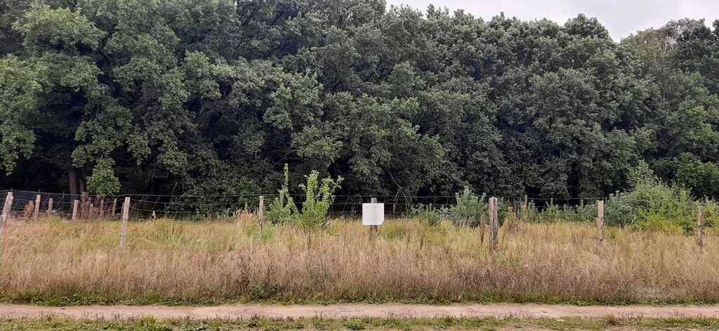 Działka na sprzedaż Swobnica 1 022 m2 | Arka Nieruchomości