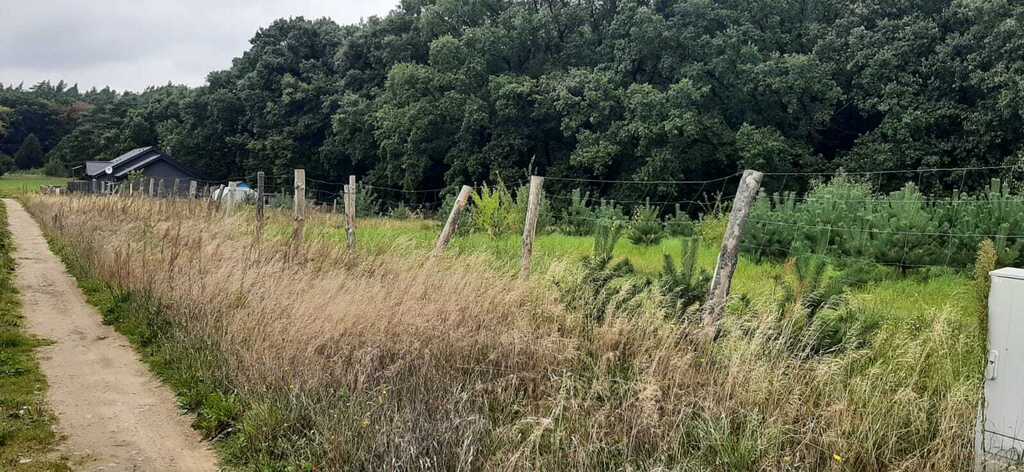 Działka na sprzedaż Swobnica 1 022 m2 | Arka Nieruchomości