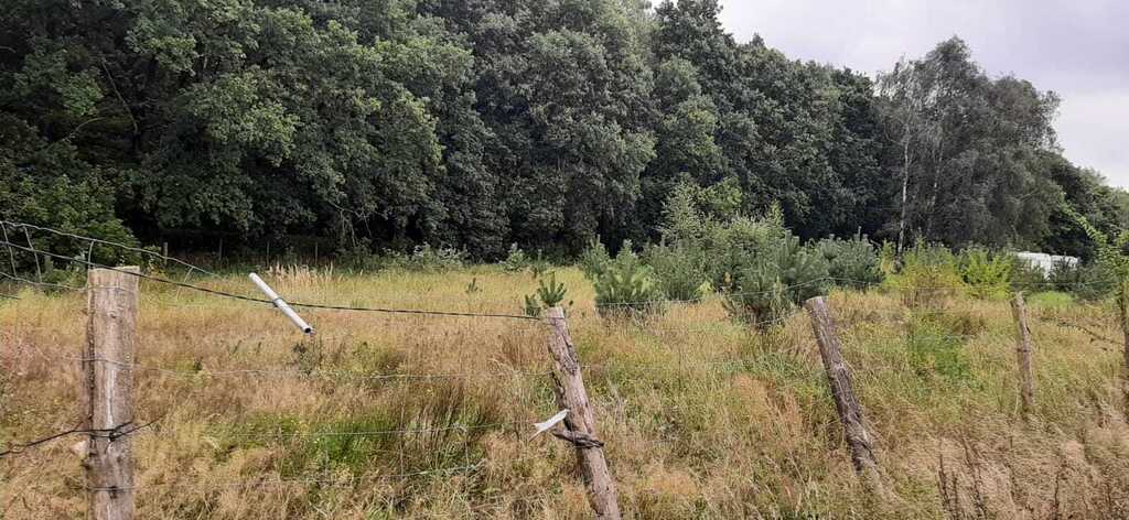 Działka na sprzedaż Swobnica 1 022 m2 | Arka Nieruchomości