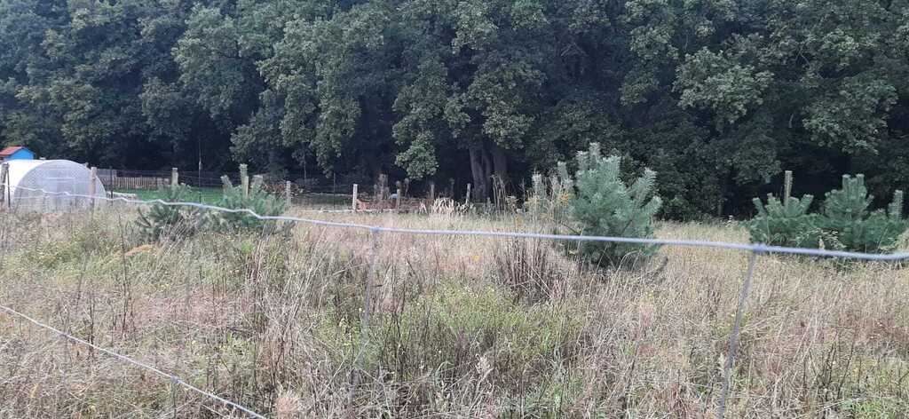 Działka na sprzedaż Swobnica 1 022 m2 | Arka Nieruchomości