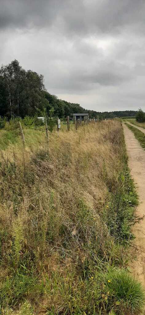 Działka na sprzedaż Swobnica 1 022 m2 | Arka Nieruchomości