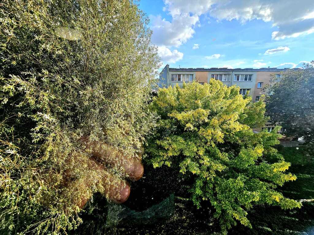 Mieszkanie na sprzedaż Szczecin, Śródmieście 60 m2 | Arka Nieruchomości