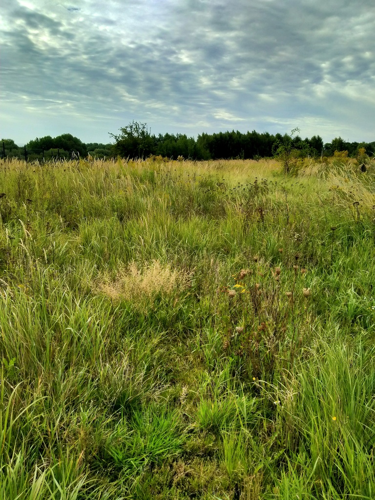 Działka na sprzedaż Szczecin, Bukowo 642 m2 | Arka Nieruchomości