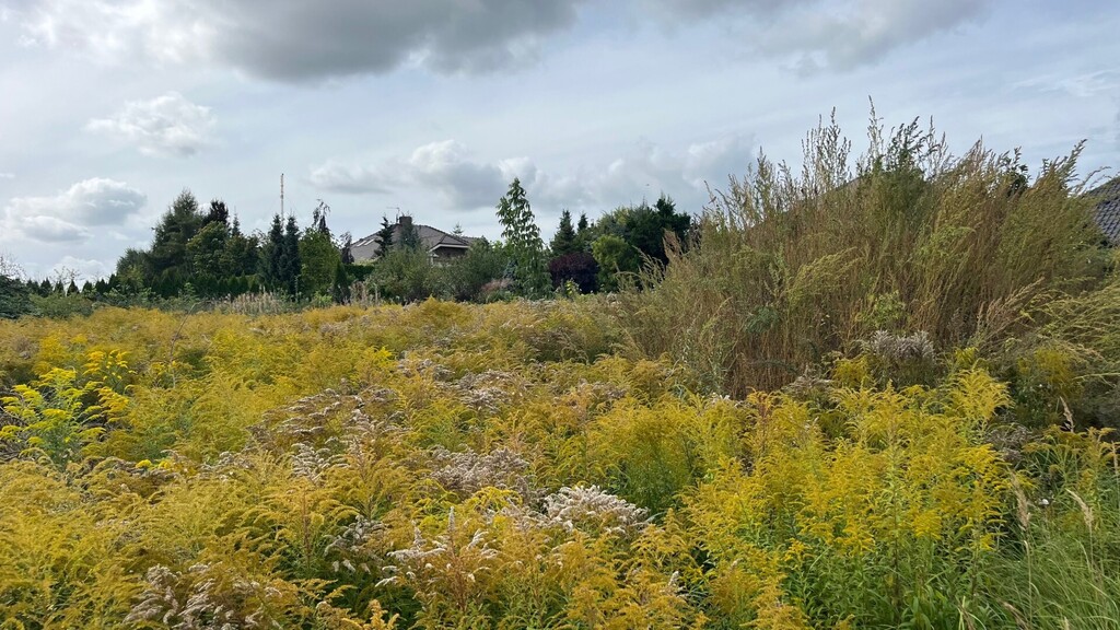 Działka na sprzedaż Szczecin, Warszewo 1 200 m2 | Arka Nieruchomości