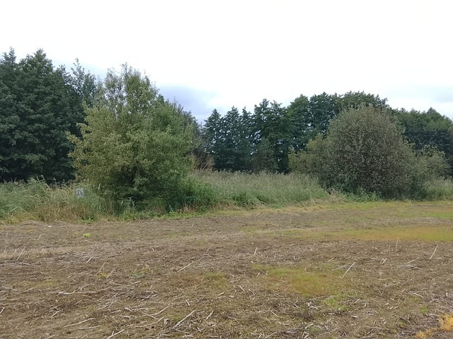 Działka na sprzedaż Stara Dąbrowa 1 492 m2 | Arka Nieruchomości