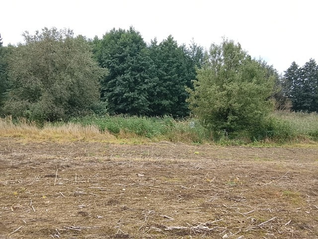 Działka na sprzedaż Stara Dąbrowa 1 492 m2 | Arka Nieruchomości