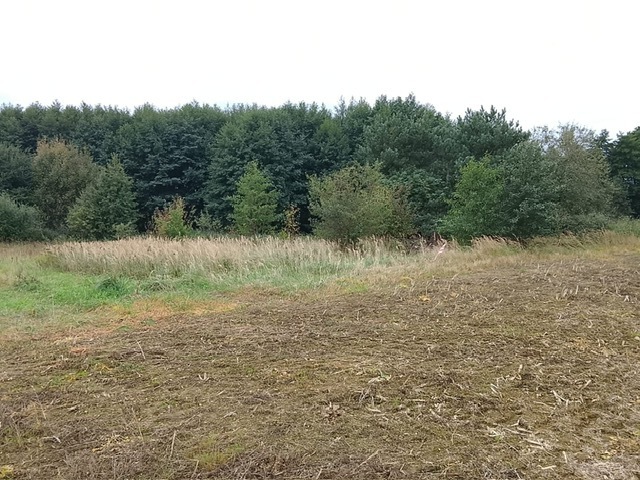 Działka na sprzedaż Stara Dąbrowa 1 492 m2 | Arka Nieruchomości