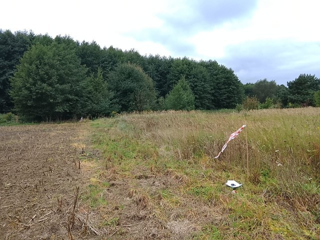 Działka na sprzedaż Stara Dąbrowa 1 492 m2 | Arka Nieruchomości