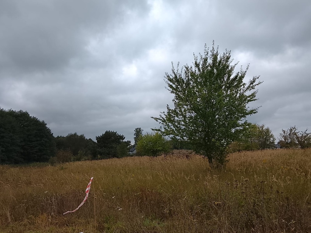 Działka na sprzedaż Stara Dąbrowa 1 492 m2 | Arka Nieruchomości