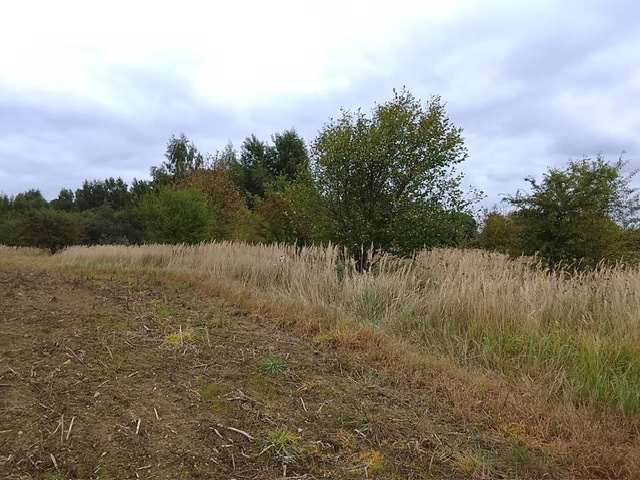 Działka na sprzedaż Stara Dąbrowa 1 492 m2 | Arka Nieruchomości