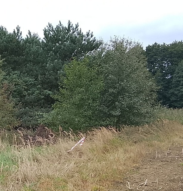 Działka na sprzedaż Stara Dąbrowa 1 492 m2 | Arka Nieruchomości