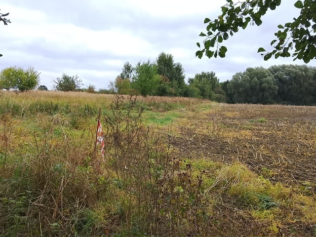 Działka na sprzedaż Stara Dąbrowa 1 492 m2 | Arka Nieruchomości