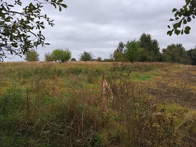 Działka na sprzedaż Stara Dąbrowa 1 492 m2 | Arka Nieruchomości
