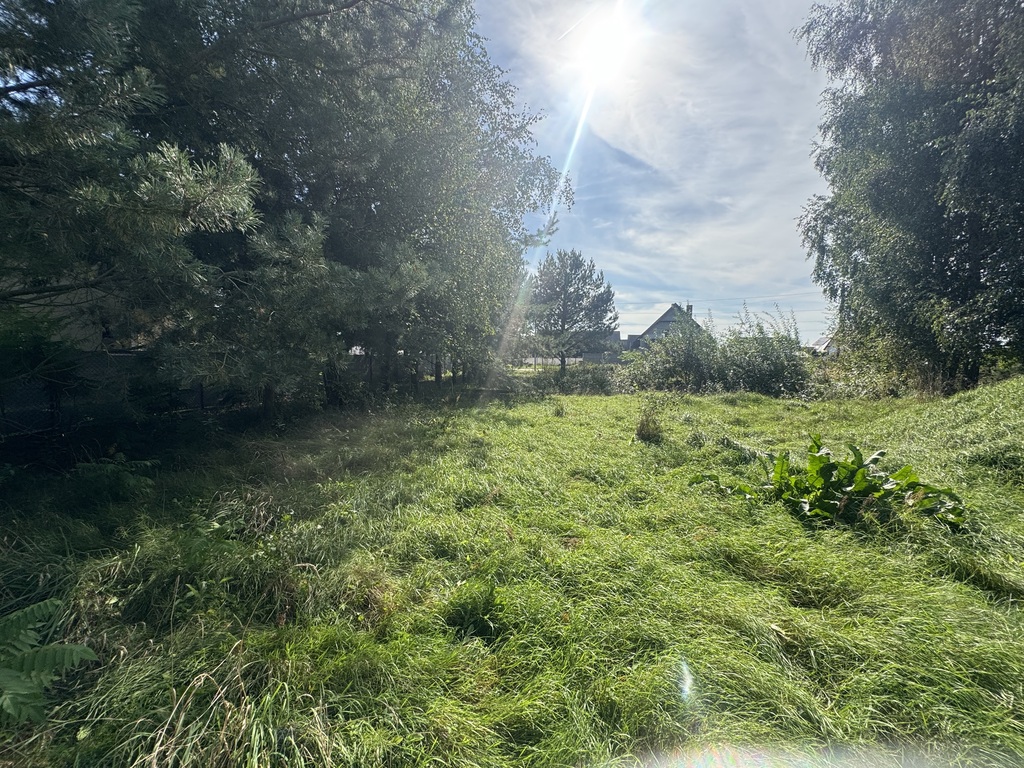 Działka na sprzedaż Czarna Łąka 1 123 m2 | Arka Nieruchomości