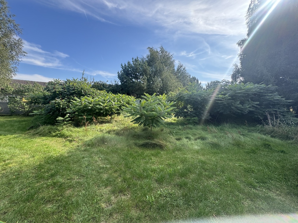 Działka na sprzedaż Czarna Łąka 1 123 m2 | Arka Nieruchomości