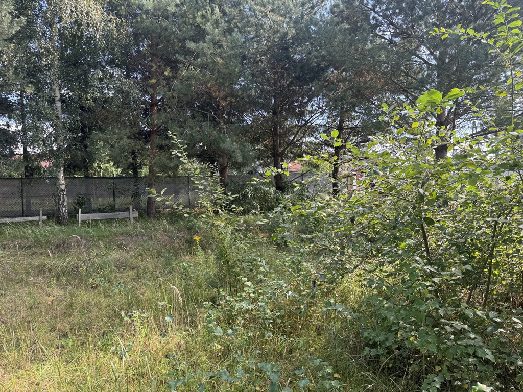 Działka na sprzedaż Czarna Łąka 1 123 m2 | Arka Nieruchomości