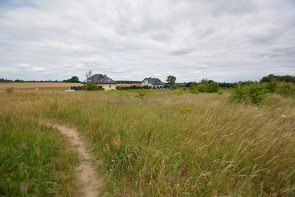 Działka na sprzedaż Wąwelnica 3 166 m2 | Arka Nieruchomości