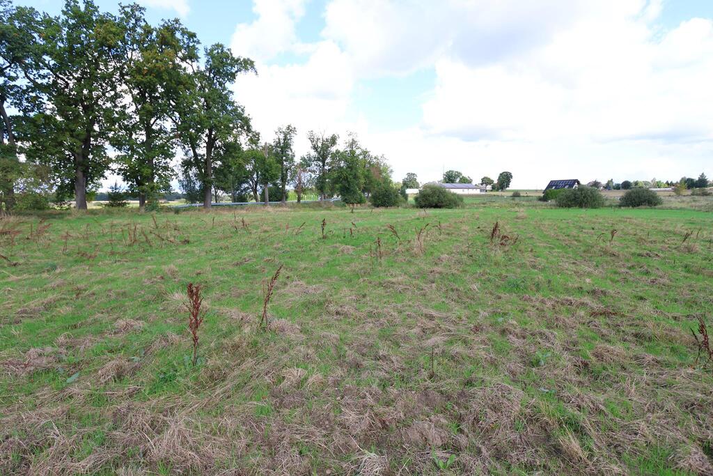 Działka na sprzedaż Dębice 970 m2 | Arka Nieruchomości