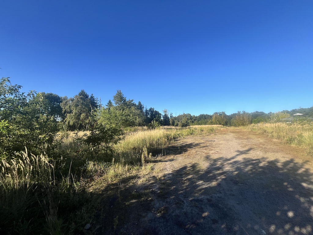 Działka na sprzedaż Sierakowo 3 118 m2 | Arka Nieruchomości