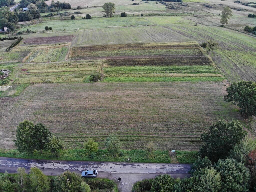 Działka na sprzedaż Gołańcz Pomorska 1 700 m2 | Arka Nieruchomości