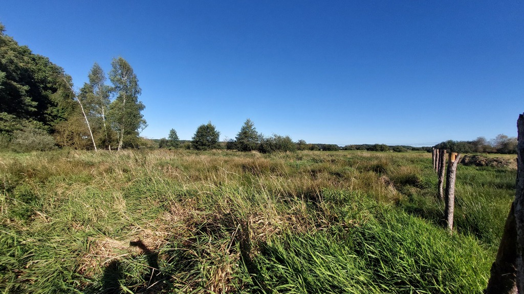 Działka na sprzedaż Dobra 1 532 m2 | Arka Nieruchomości