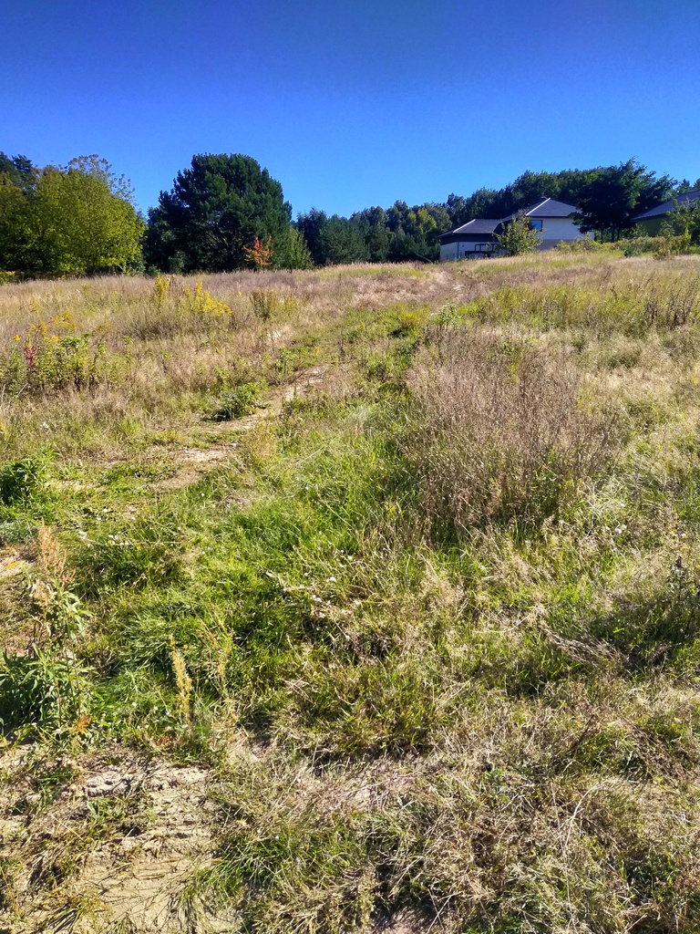 Działka na sprzedaż Pilchowo 2 001 m2 | Arka Nieruchomości