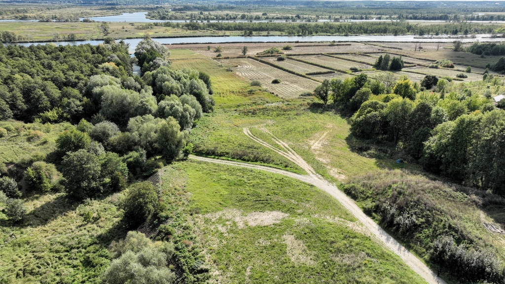 Działka na sprzedaż Kurów 2 028 m2 | Arka Nieruchomości