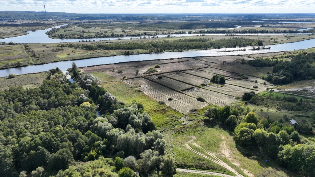 Działka na sprzedaż Kurów 2 028 m2 | Arka Nieruchomości