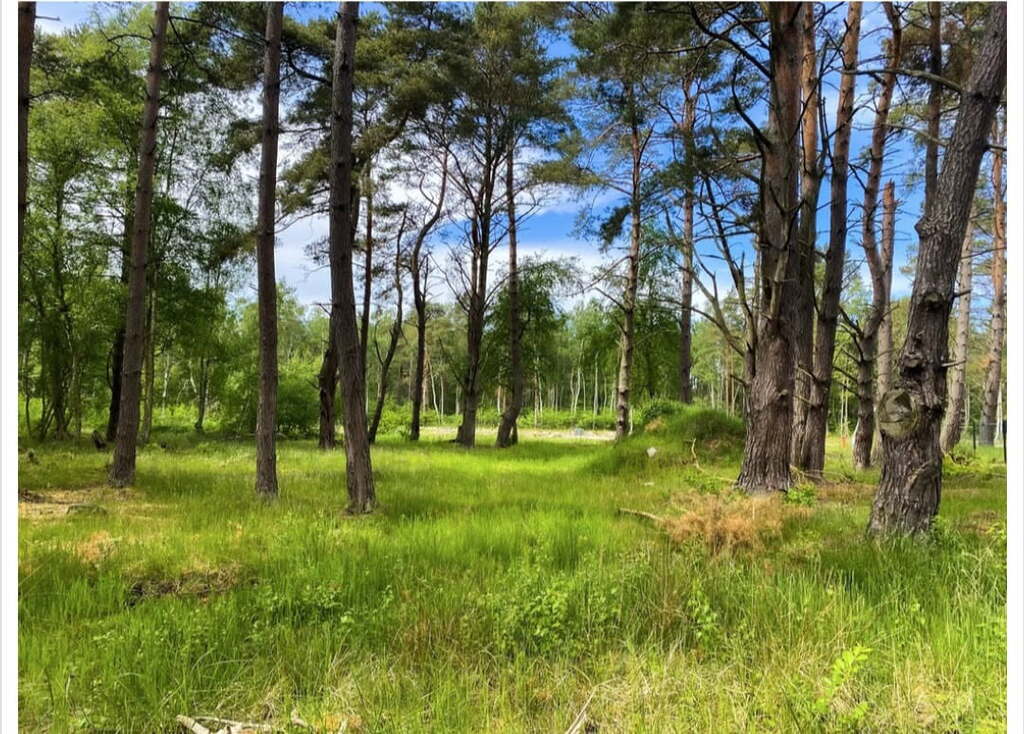 Działka na sprzedaż Dziwnów 1 248 m2 | Arka Nieruchomości
