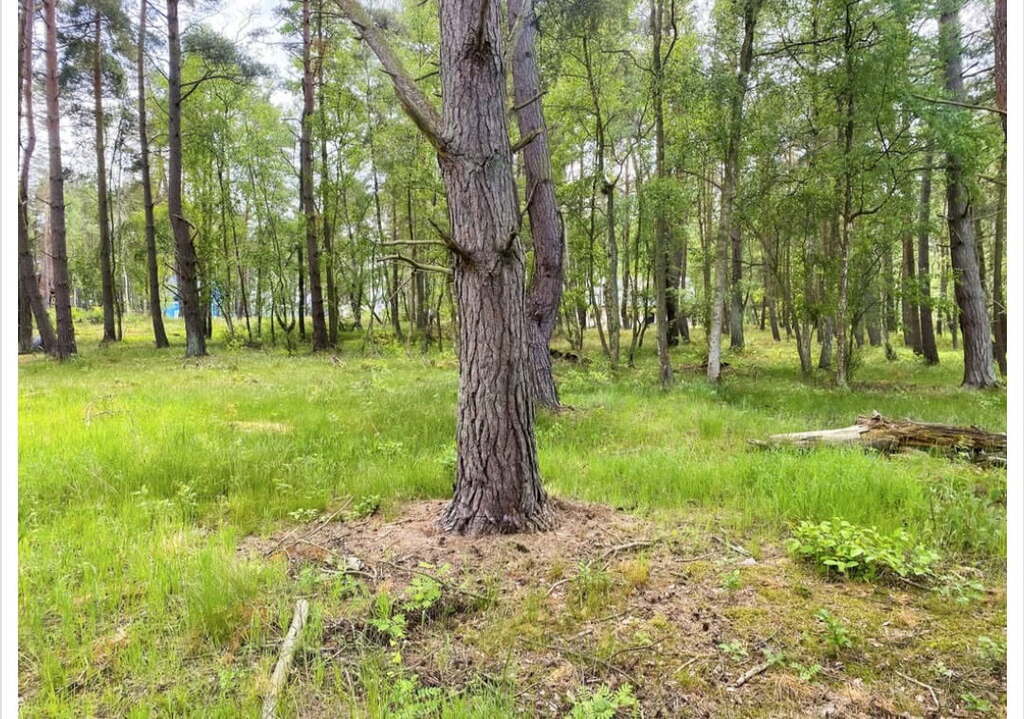 Działka na sprzedaż Dziwnów 1 248 m2 | Arka Nieruchomości