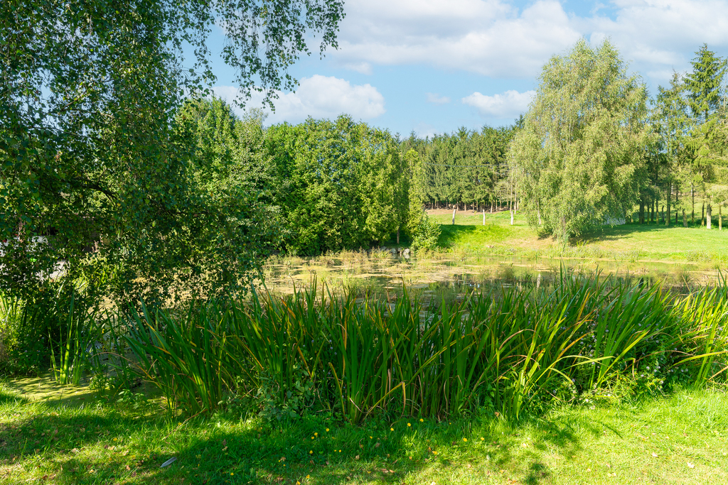 Obiekt na sprzedaż Radowo Małe 3 000 m2 | Arka Nieruchomości