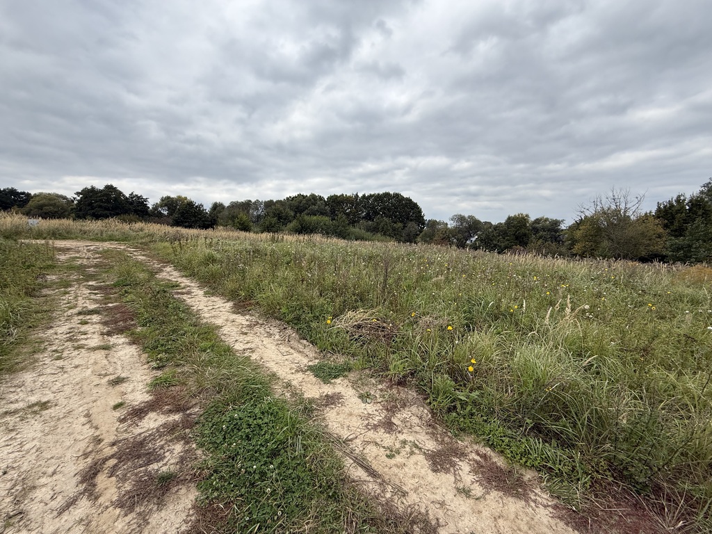 Działka na sprzedaż Szczecin, Skolwin 1 130 m2 | Arka Nieruchomości