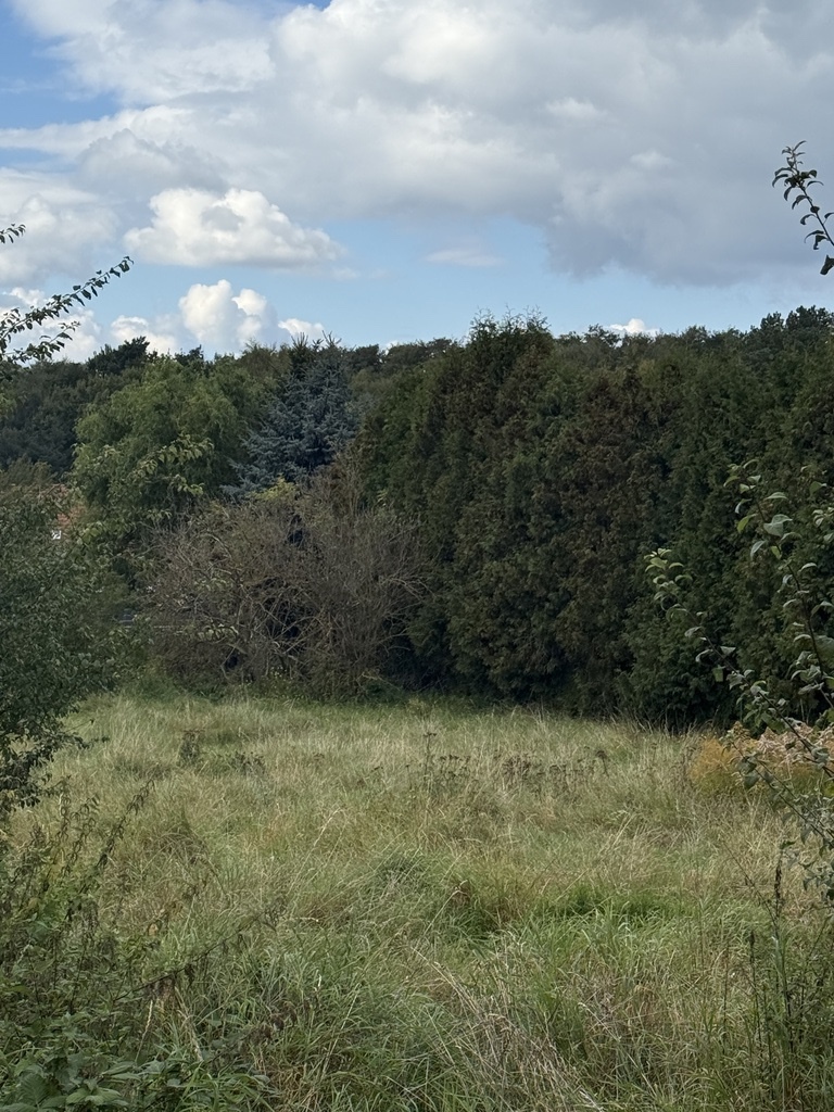 Działka na sprzedaż Szczecin, Pilchowo 1 202 m2 | Arka Nieruchomości