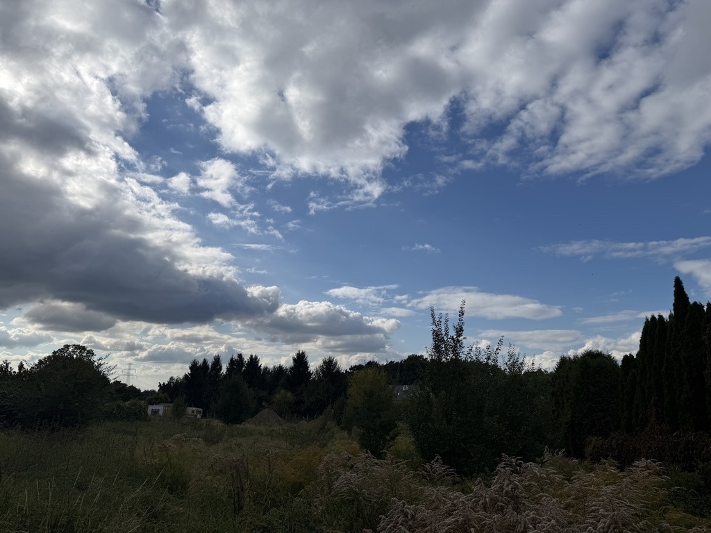 Działka na sprzedaż Szczecin, Pilchowo 1 202 m2 | Arka Nieruchomości