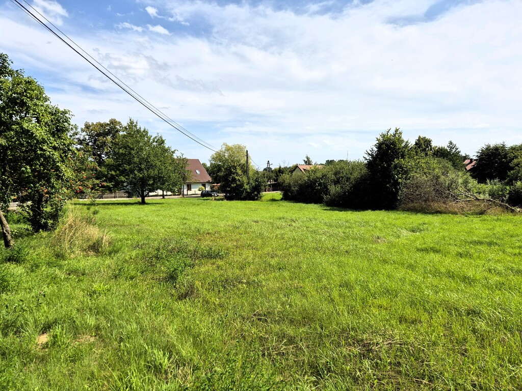 Działka na sprzedaż Gogolice 1 500 m2 | Arka Nieruchomości