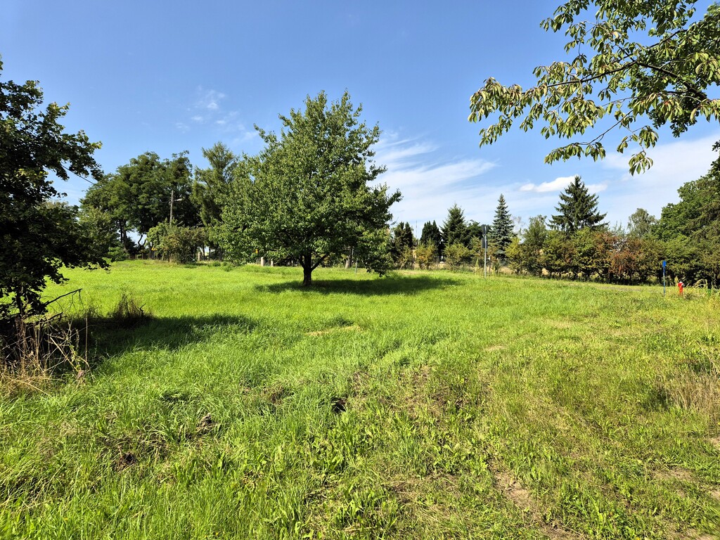 Działka na sprzedaż Gogolice 1 500 m2 | Arka Nieruchomości