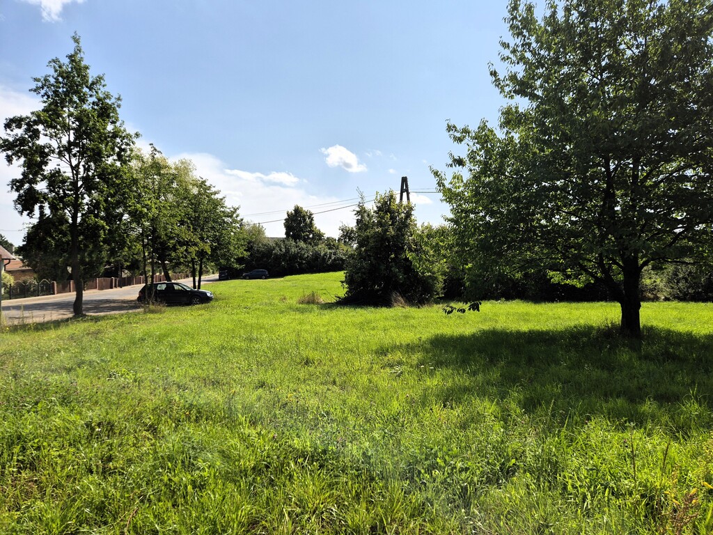 Działka na sprzedaż Gogolice 1 500 m2 | Arka Nieruchomości