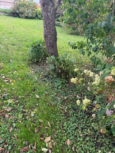 Dom na sprzedaż Kamień Pomorski 139 m2 | Arka Nieruchomości