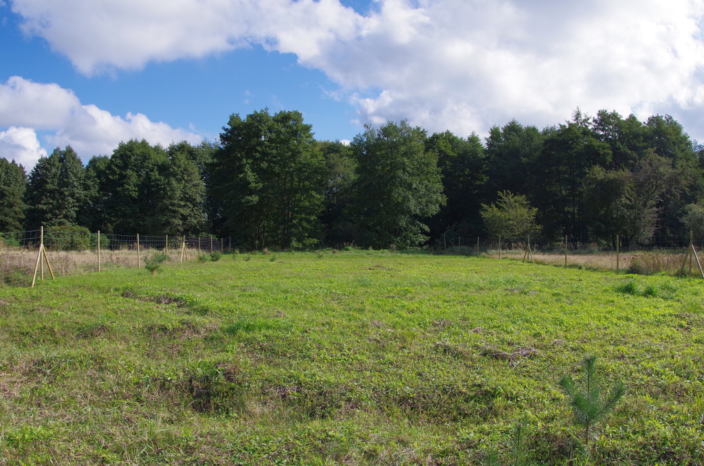 Działka na sprzedaż Jatki 1 023 m2 | Arka Nieruchomości