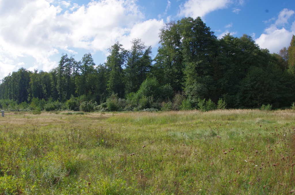 Działka na sprzedaż Jatki 1 023 m2 | Arka Nieruchomości