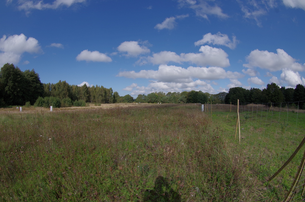 Działka na sprzedaż Jatki 1 023 m2 | Arka Nieruchomości