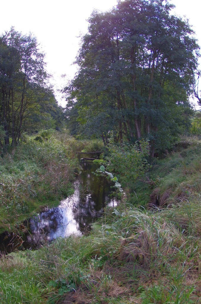 Działka na sprzedaż Jatki 1 023 m2 | Arka Nieruchomości