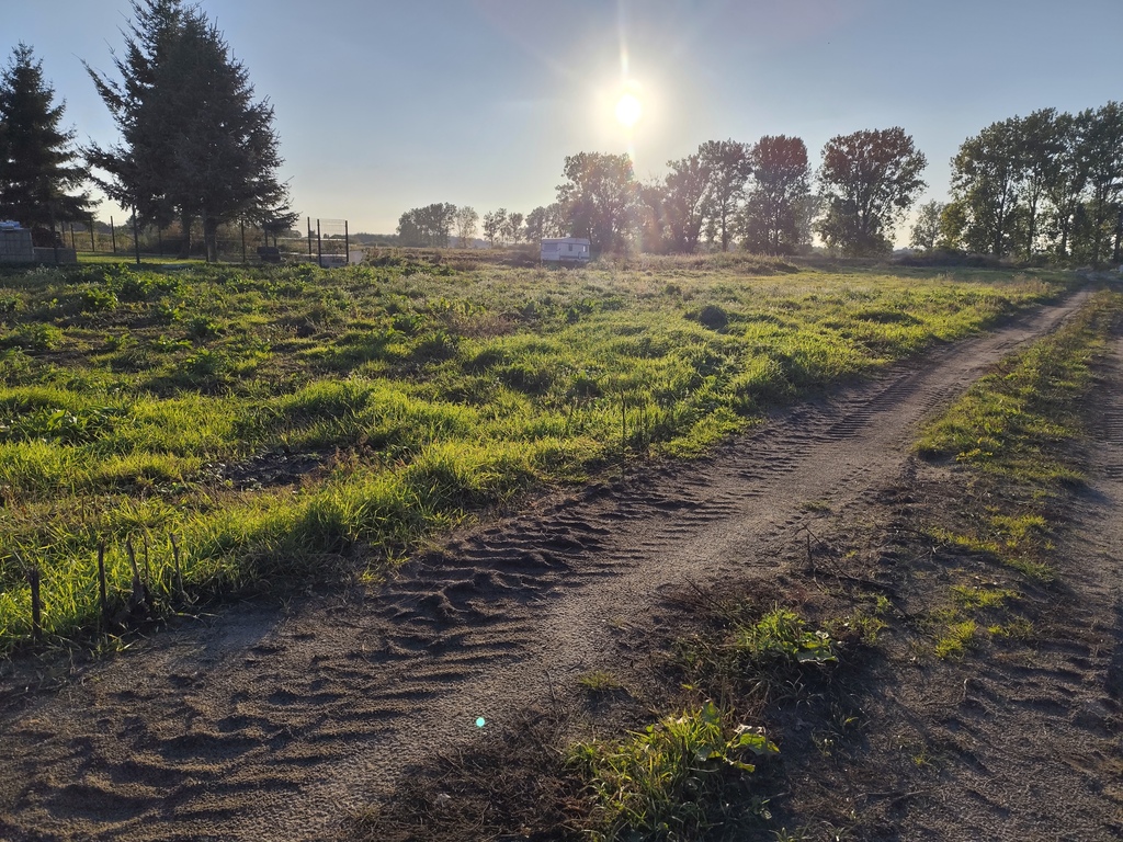 Działka na sprzedaż Rurzyca 1 060 m2 | Arka Nieruchomości