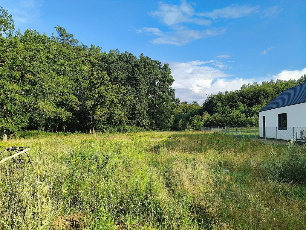 Działka na sprzedaż Tanowo 2 440 m2 | Arka Nieruchomości