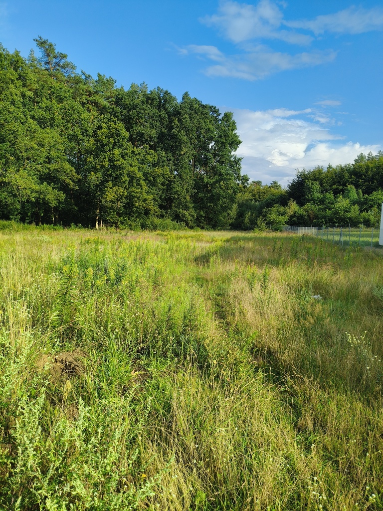 Działka na sprzedaż Tanowo 2 440 m2 | Arka Nieruchomości