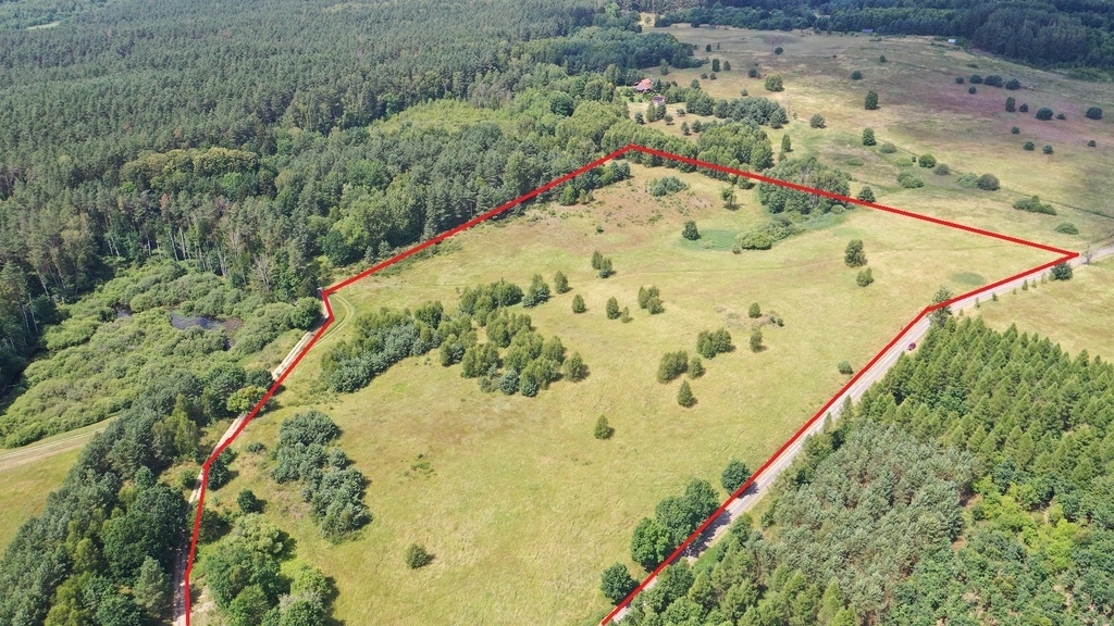 Działka na sprzedaż Gronowo 3 017 m2 | Arka Nieruchomości