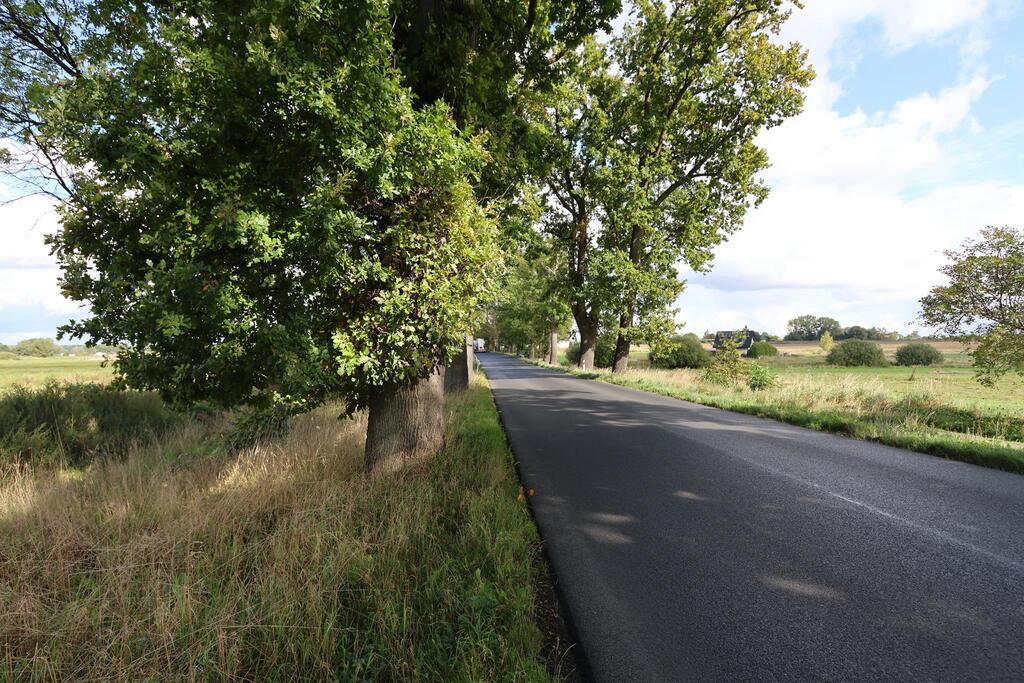 Działka na sprzedaż Dębice 1 027 m2 | Arka Nieruchomości