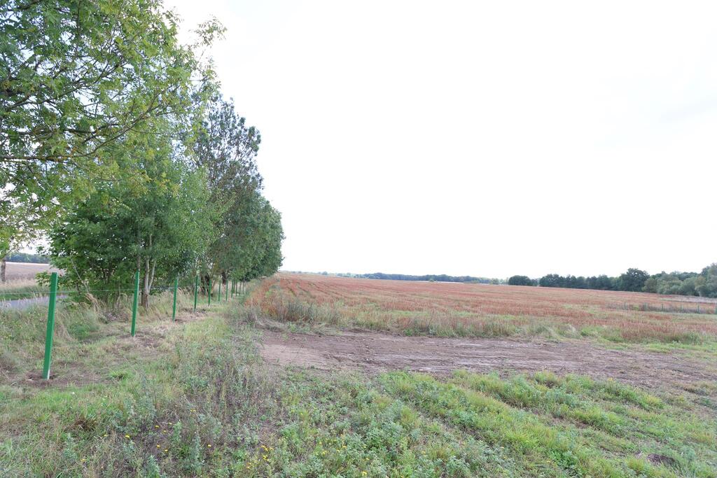 Działka na sprzedaż Dębice 1 699 m2 | Arka Nieruchomości